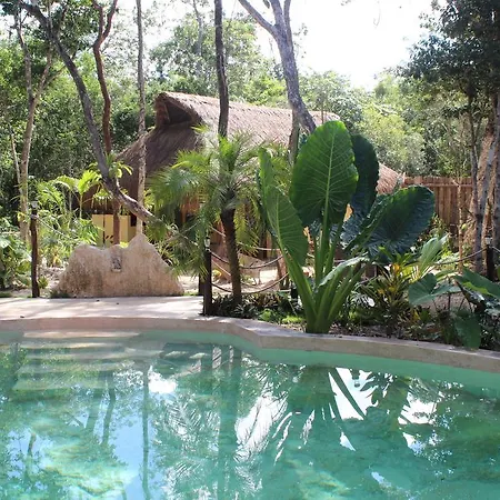 Casa Selva Orquideas Bed & Breakfast